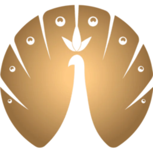 VMPINNOV Consultants logo